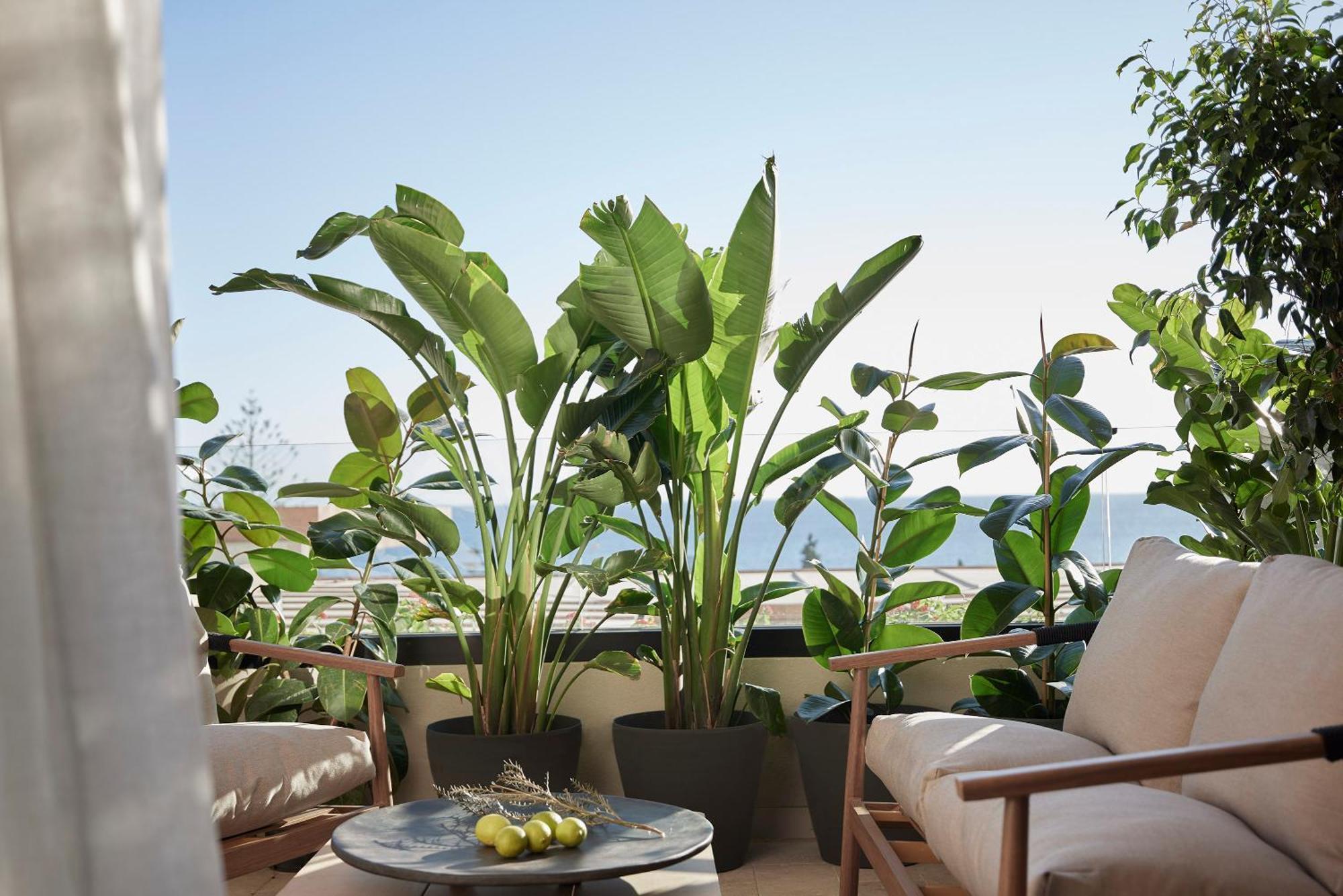 Helea Lifestyle Beach Resort Kallithéa 外观 照片 A balcony garden